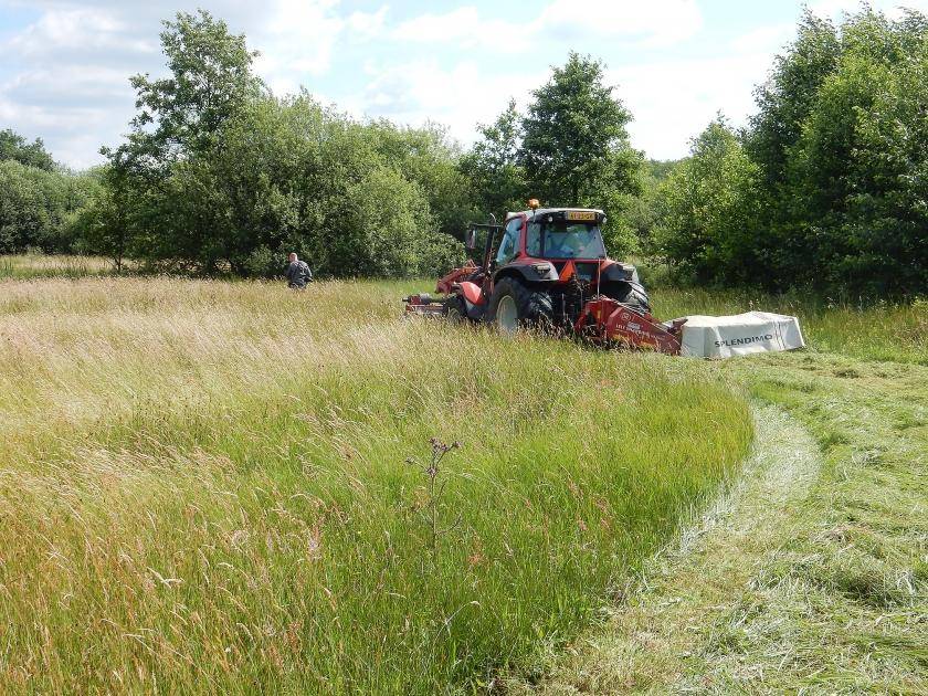 Een tractor met cyclomaaier erachter die een groot veld aan het maaien is