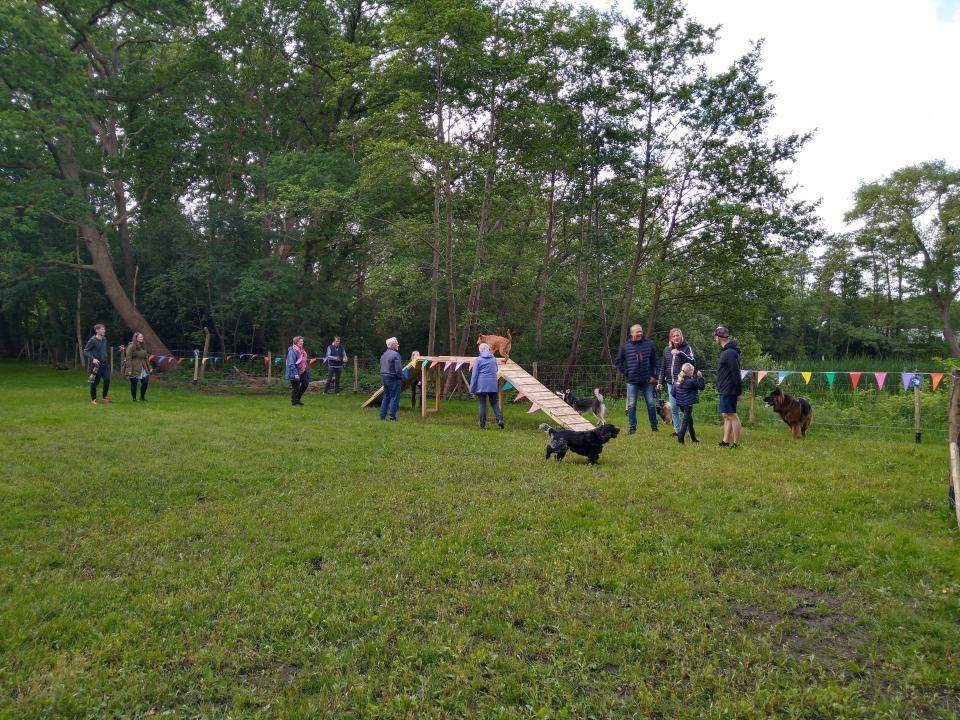 Een groep mensen en honden aan het spelen op de hondenspeelplaats.
